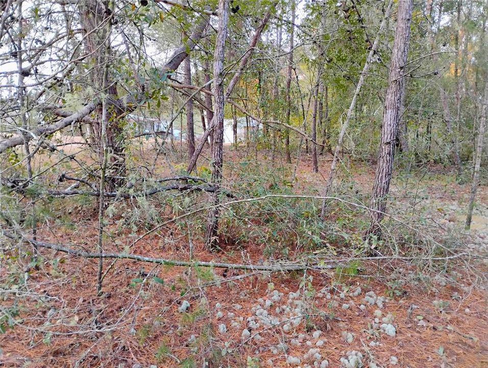 For Sale: $5,999 (0.22 acres)