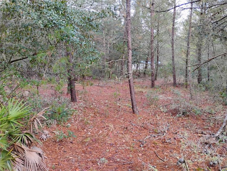 For Sale: $5,999 (0.22 acres)