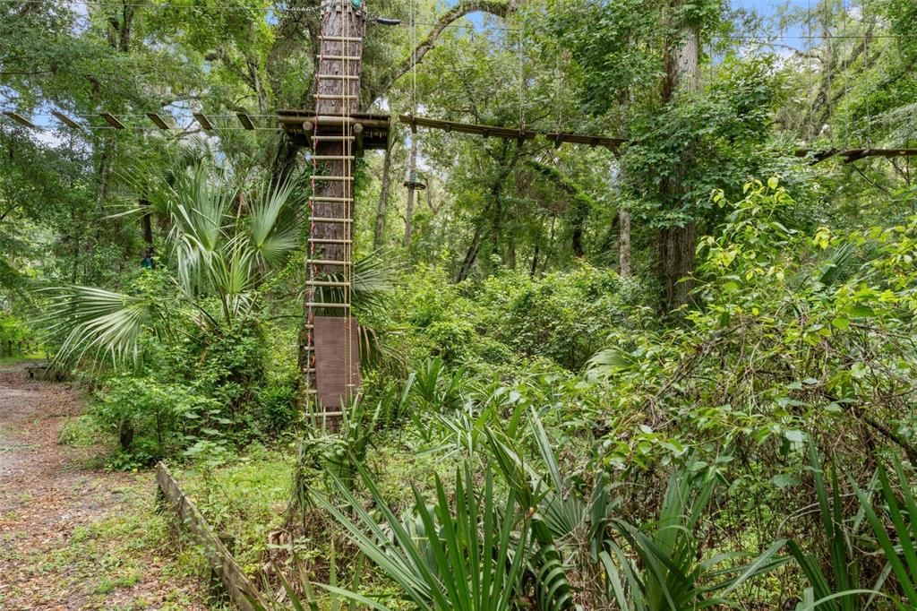 На продажу: $999,000 (36.50 acres)