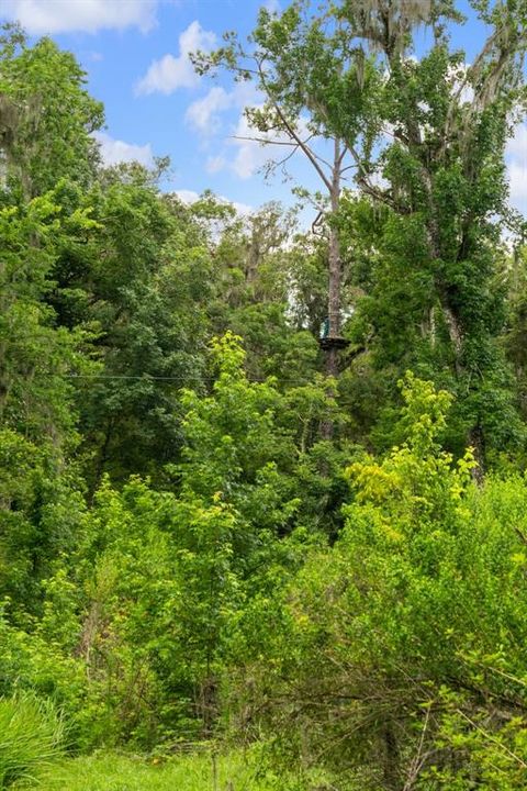 На продажу: $999,000 (36.50 acres)