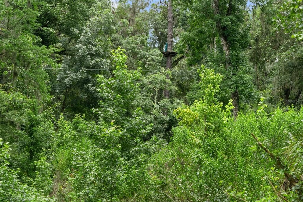 На продажу: $999,000 (36.50 acres)