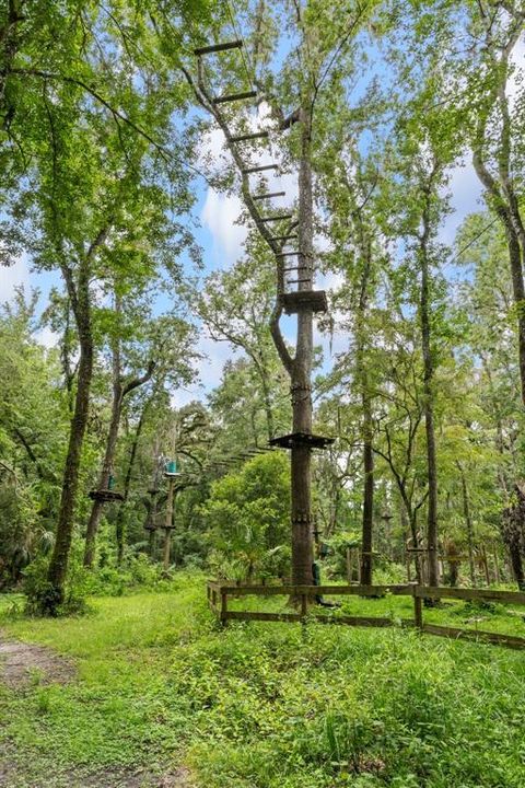 На продажу: $999,000 (36.50 acres)