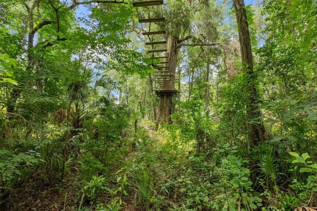 На продажу: $999,000 (36.50 acres)