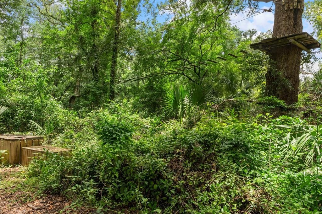 На продажу: $999,000 (36.50 acres)