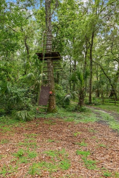 На продажу: $999,000 (36.50 acres)