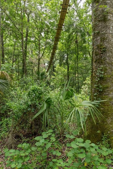 На продажу: $999,000 (36.50 acres)