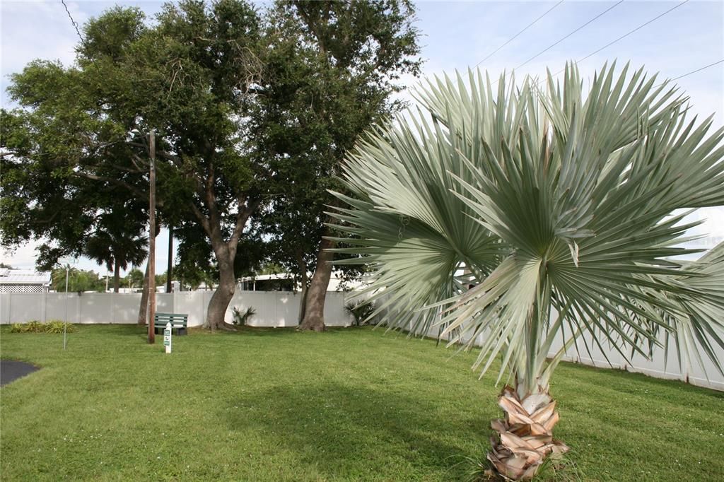 En Venta: $125,000 (2 camas, 2 baños, 950 Pies cuadrados)