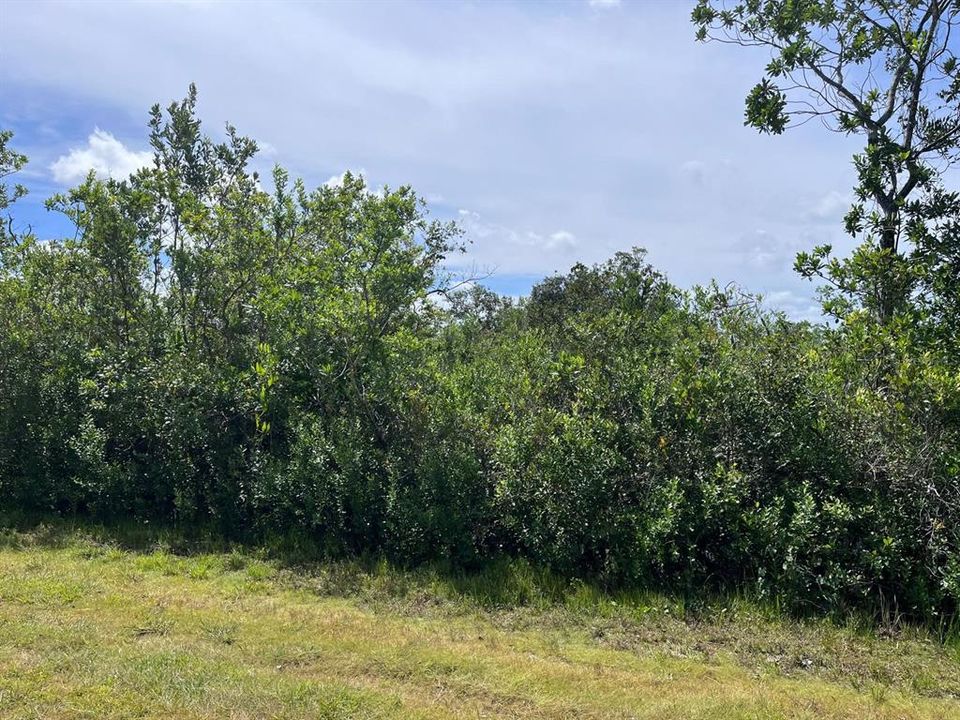 待售: $17,000 (0.50 acres)