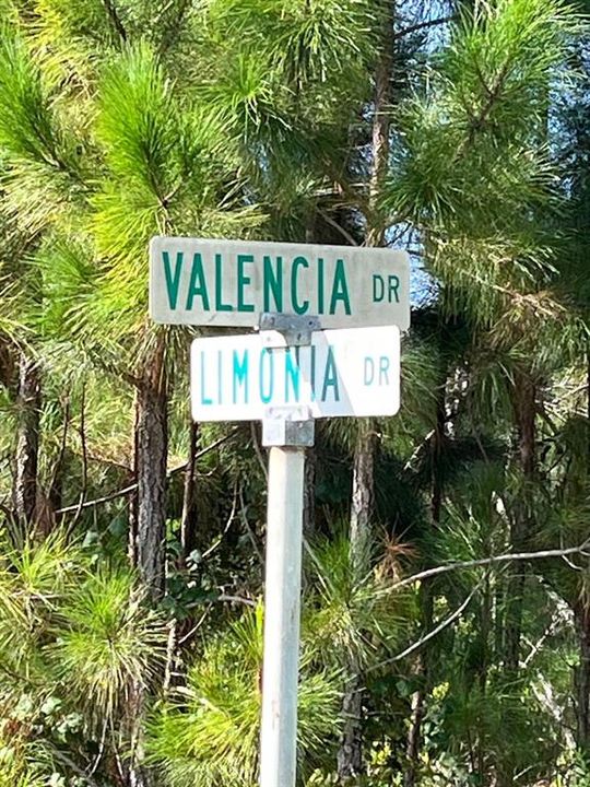 待售: $17,500 (0.50 acres)