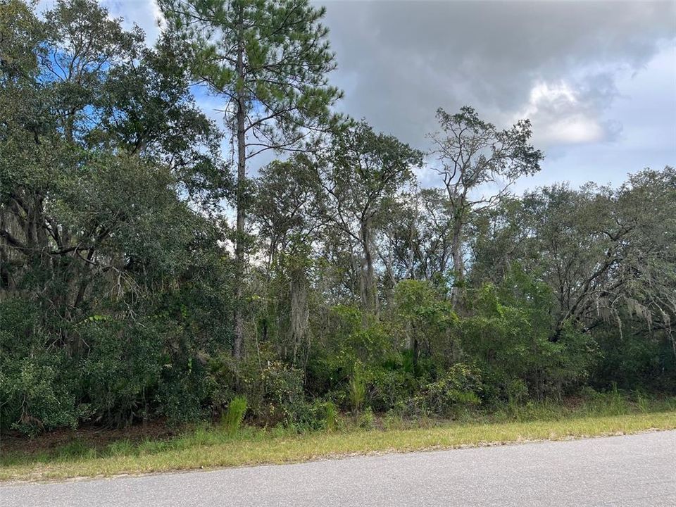 For Sale: $289,000 (18.02 acres)