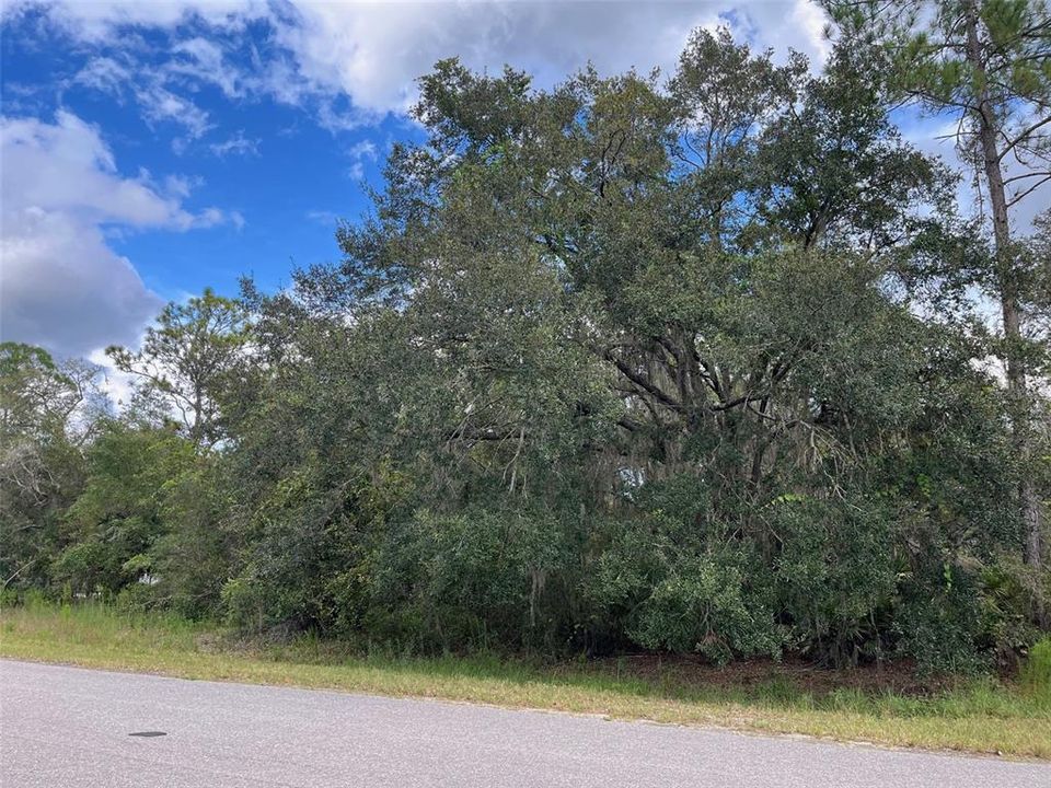 For Sale: $289,000 (18.02 acres)