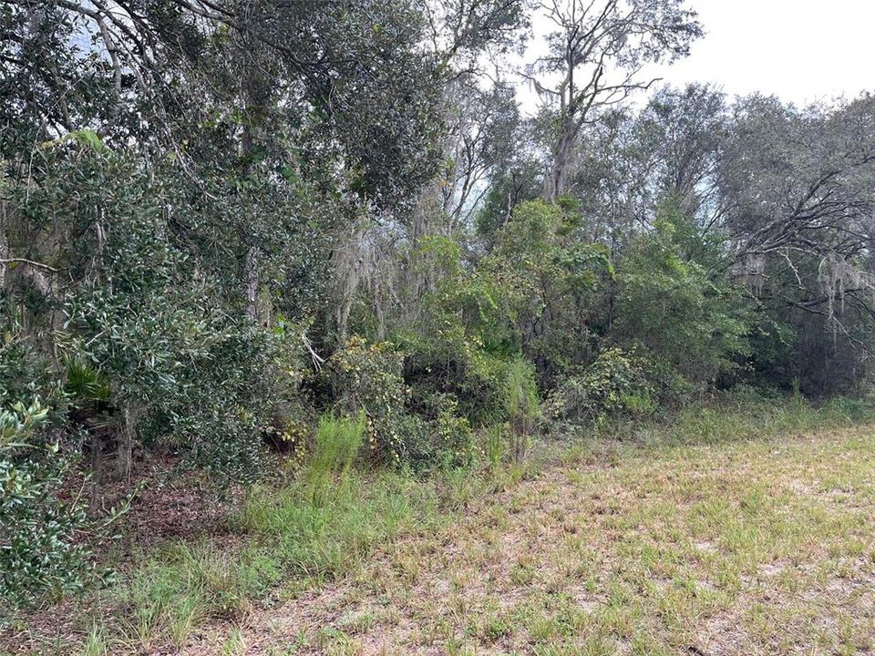 For Sale: $289,000 (18.02 acres)