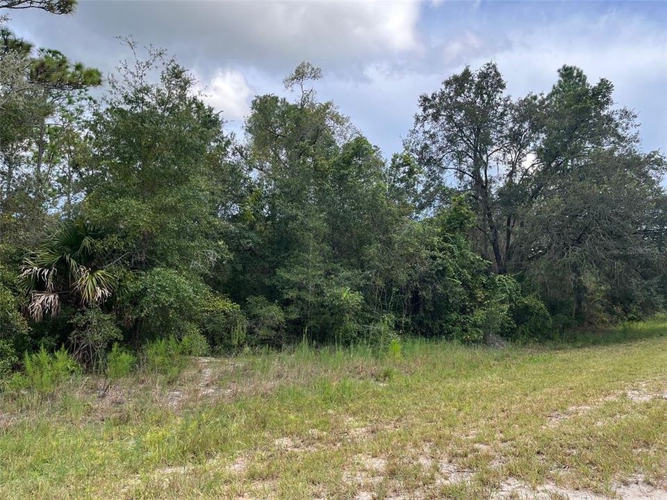 For Sale: $289,000 (18.02 acres)