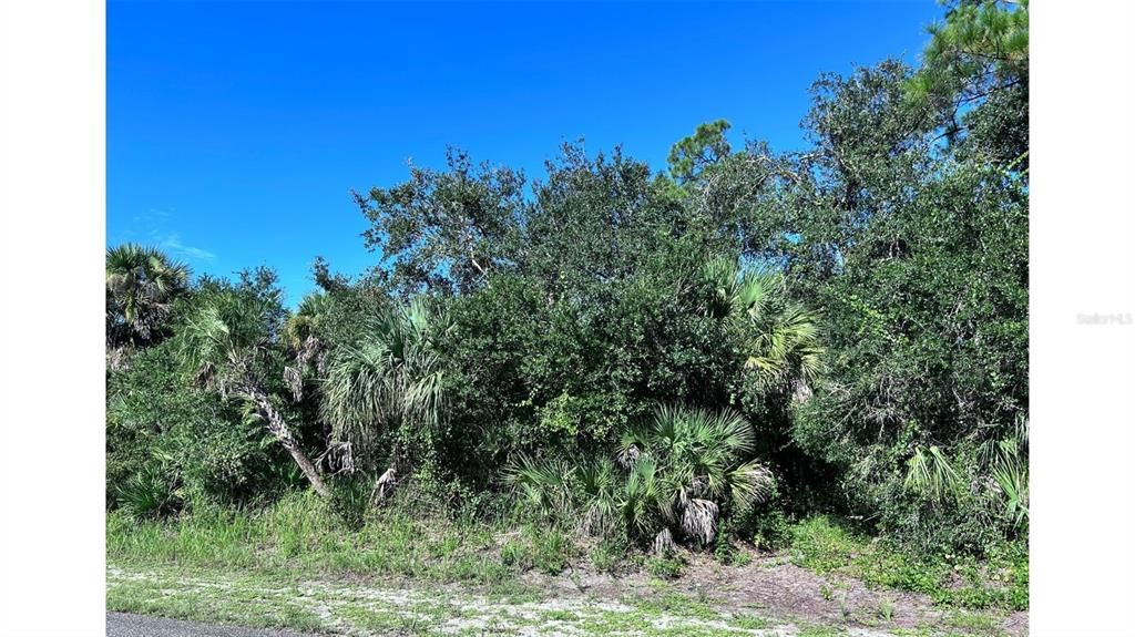 Activo con contrato: $19,500 (0.23 acres)