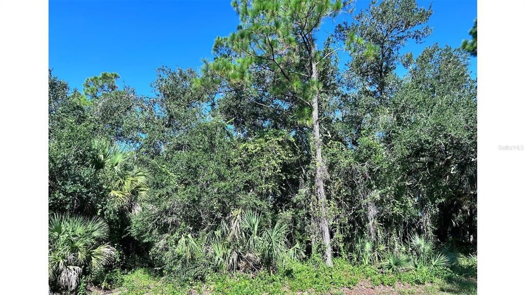 Activo con contrato: $19,500 (0.23 acres)