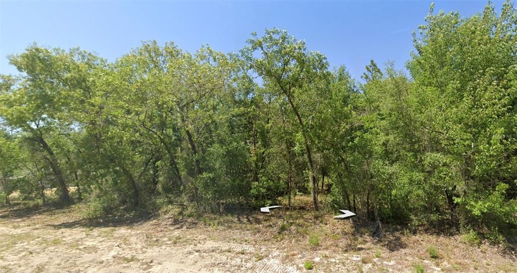 En Venta: $24,500 (0.25 acres)