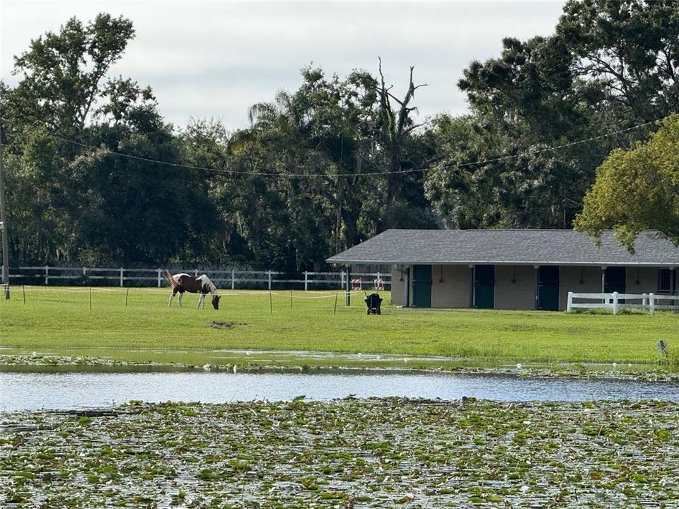 Active With Contract: $340,000 (3 beds, 2 baths, 1444 Square Feet)