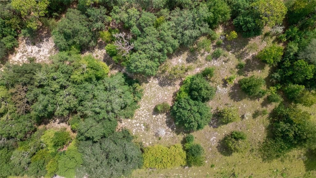 En Venta: $35,000 (1.10 acres)