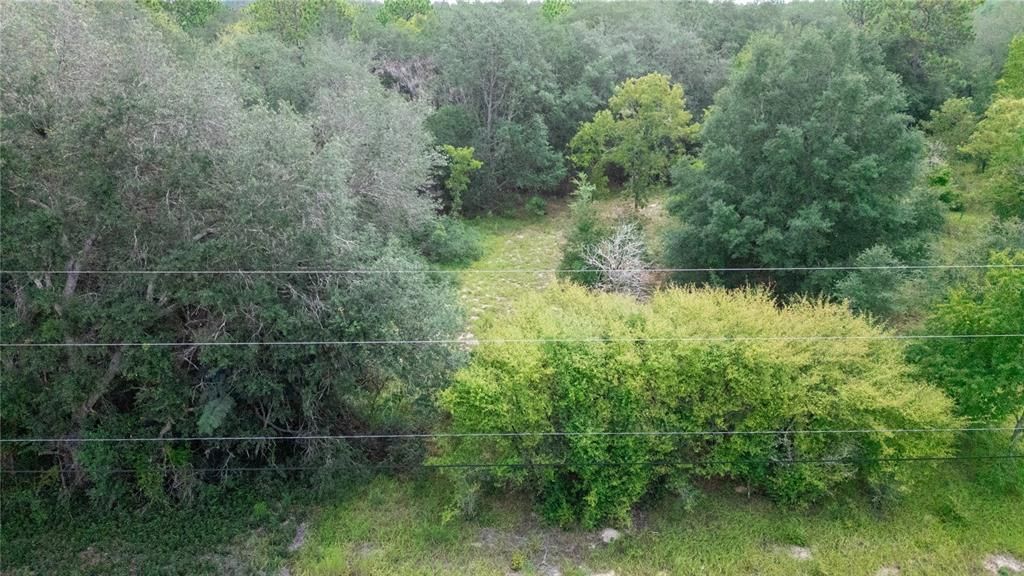 En Venta: $35,000 (1.10 acres)