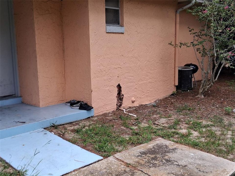 合同活跃: $1,350 (2 贝兹, 1 浴室, 1000 平方英尺)