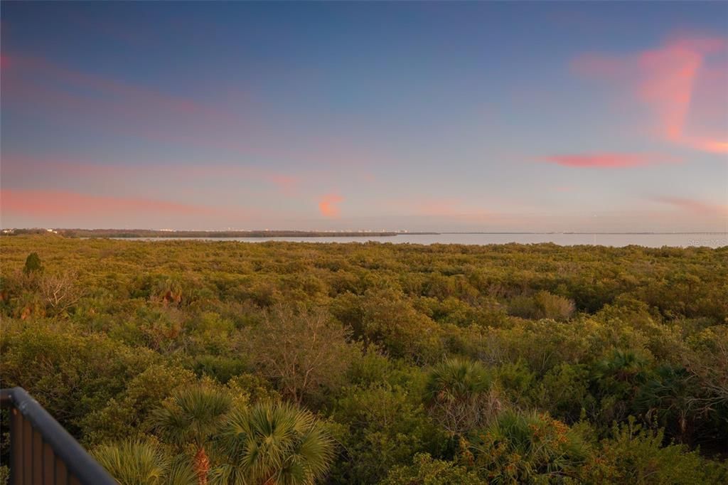 На продажу: $1,650,000 (4 спален, 4 ванн, 5260 Квадратных фут)