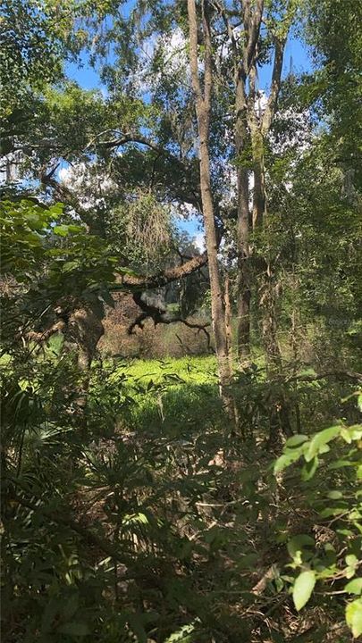 待售: $59,900 (0.84 acres)