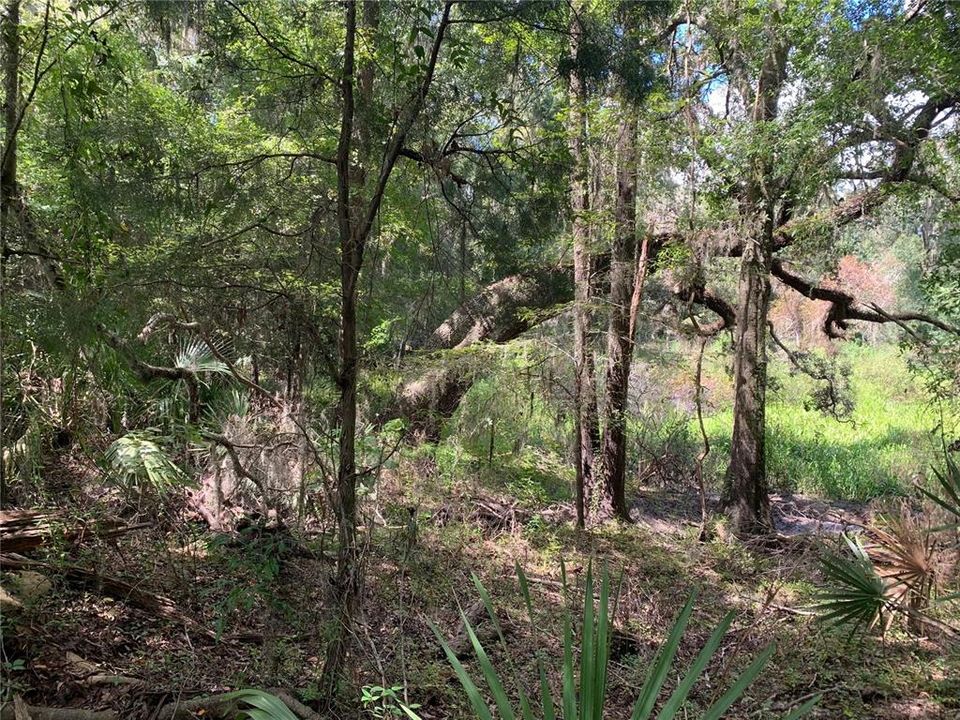 待售: $59,900 (0.84 acres)