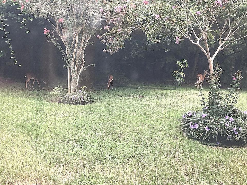 На продажу: $520,000 (3 спален, 2 ванн, 2017 Квадратных фут)