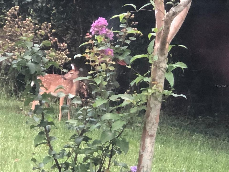 На продажу: $520,000 (3 спален, 2 ванн, 2017 Квадратных фут)