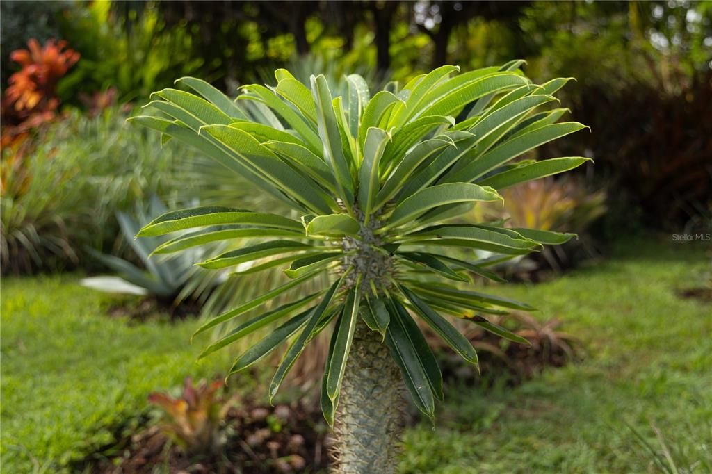 For Sale: $595,000 (2 beds, 2 baths, 1400 Square Feet)