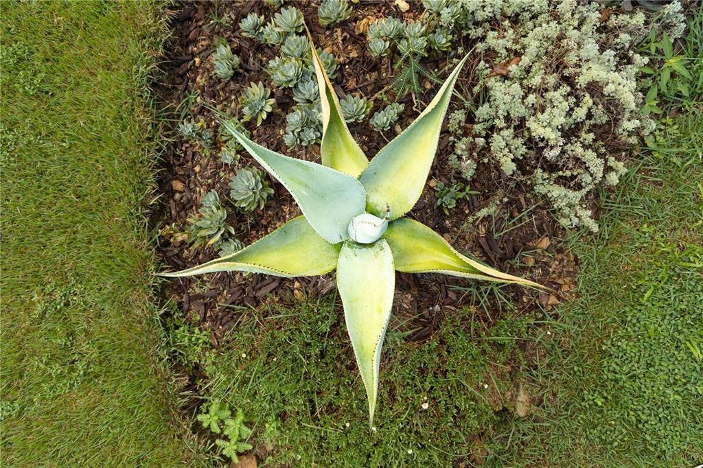 For Sale: $595,000 (2 beds, 2 baths, 1400 Square Feet)