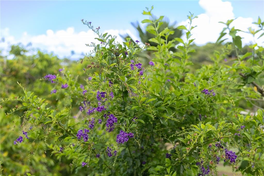 For Sale: $595,000 (2 beds, 2 baths, 1400 Square Feet)