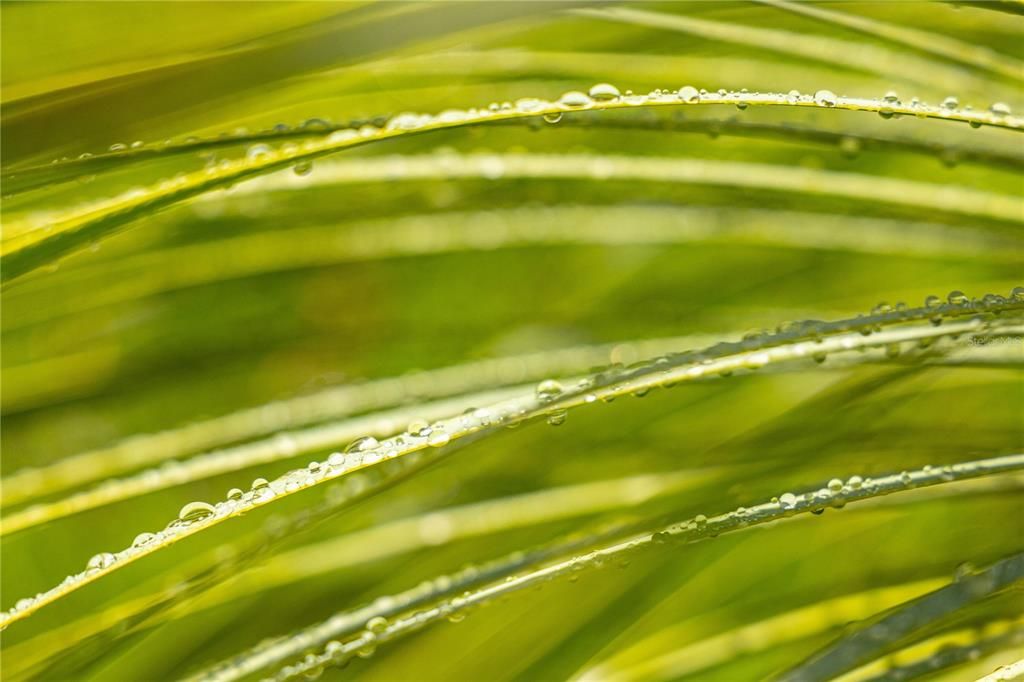 For Sale: $595,000 (2 beds, 2 baths, 1400 Square Feet)