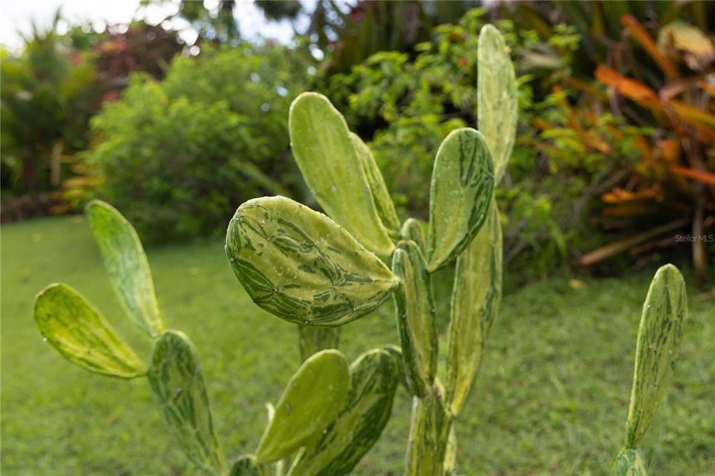 For Sale: $595,000 (2 beds, 2 baths, 1400 Square Feet)