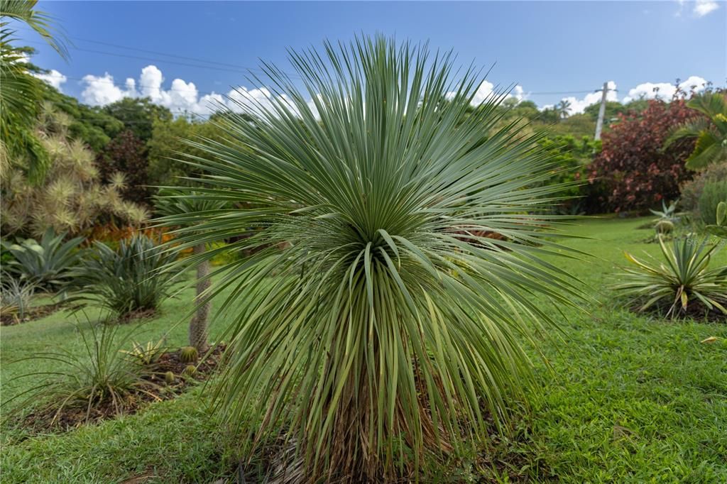 For Sale: $595,000 (2 beds, 2 baths, 1400 Square Feet)