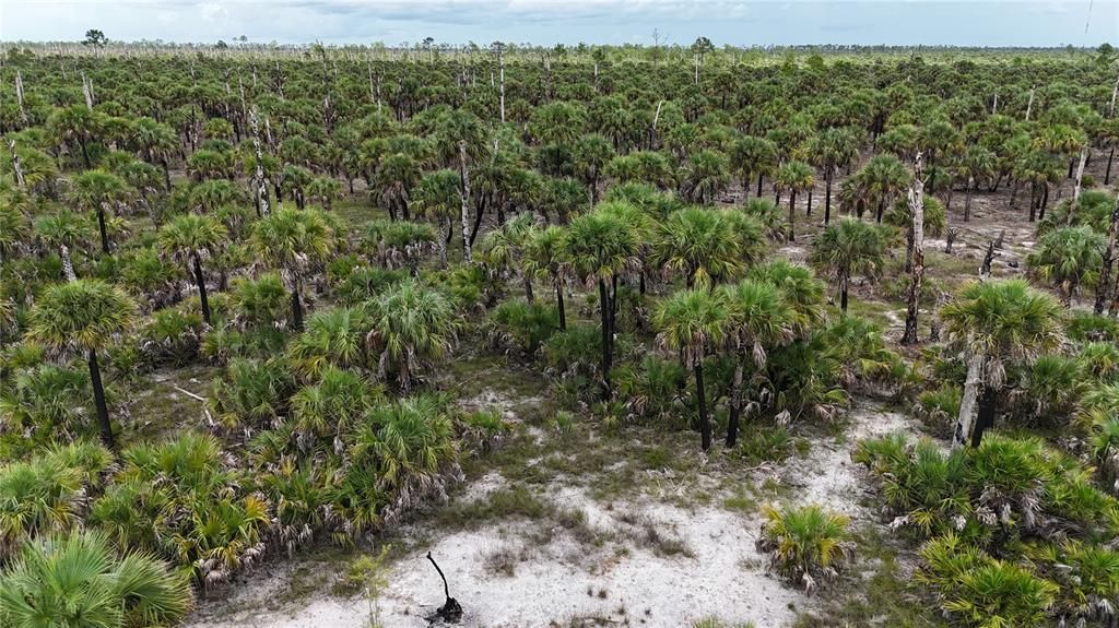 待售: $90,000 (5.00 acres)