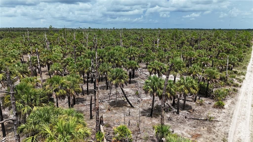 待售: $90,000 (5.00 acres)