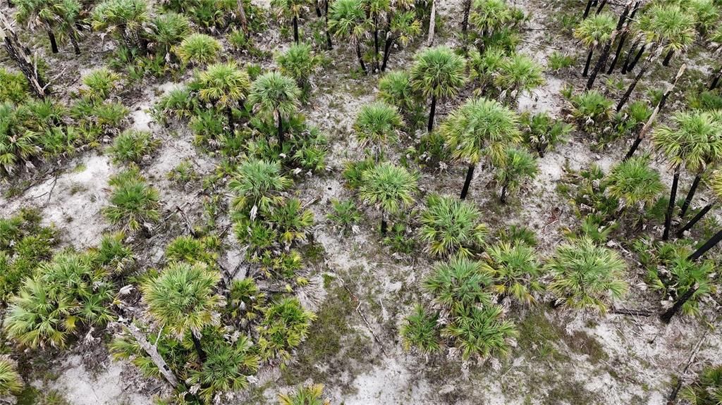 待售: $90,000 (5.00 acres)