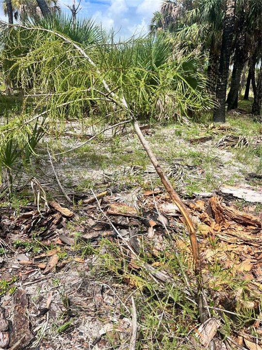 待售: $90,000 (5.00 acres)