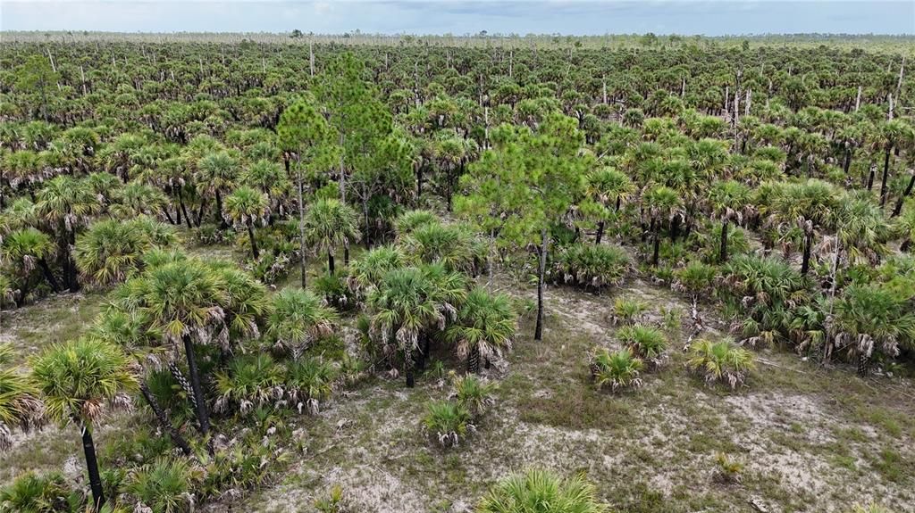 待售: $90,000 (5.00 acres)