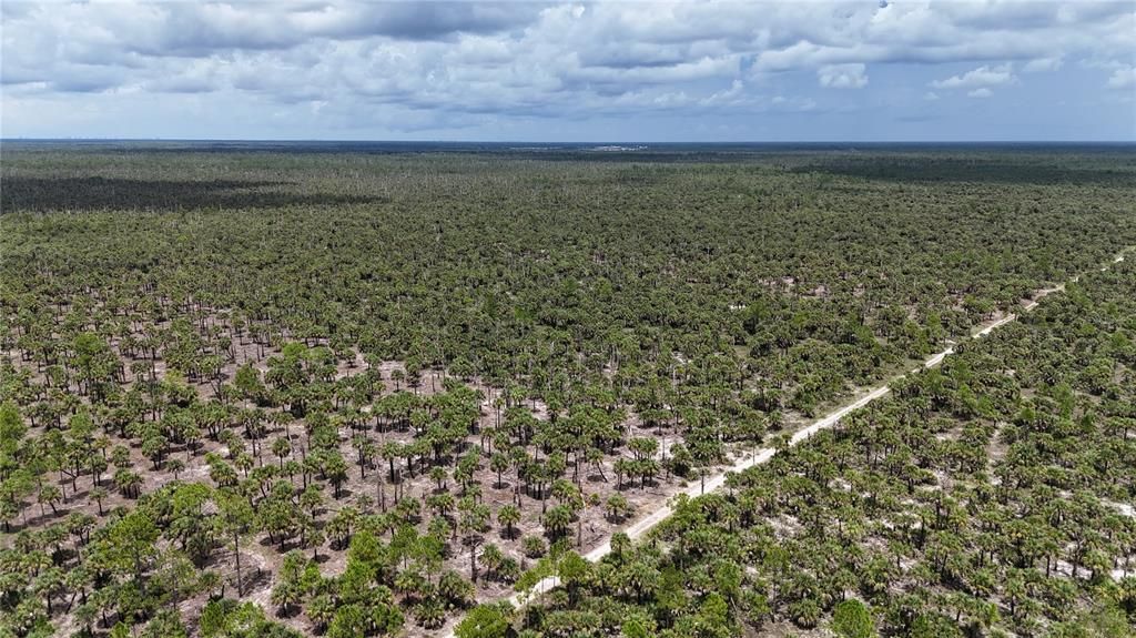 待售: $90,000 (5.00 acres)