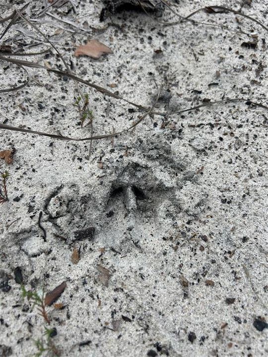 待售: $90,000 (5.00 acres)