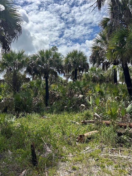 待售: $90,000 (5.00 acres)