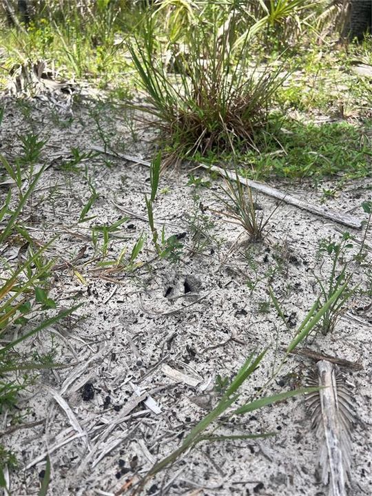 待售: $90,000 (5.00 acres)