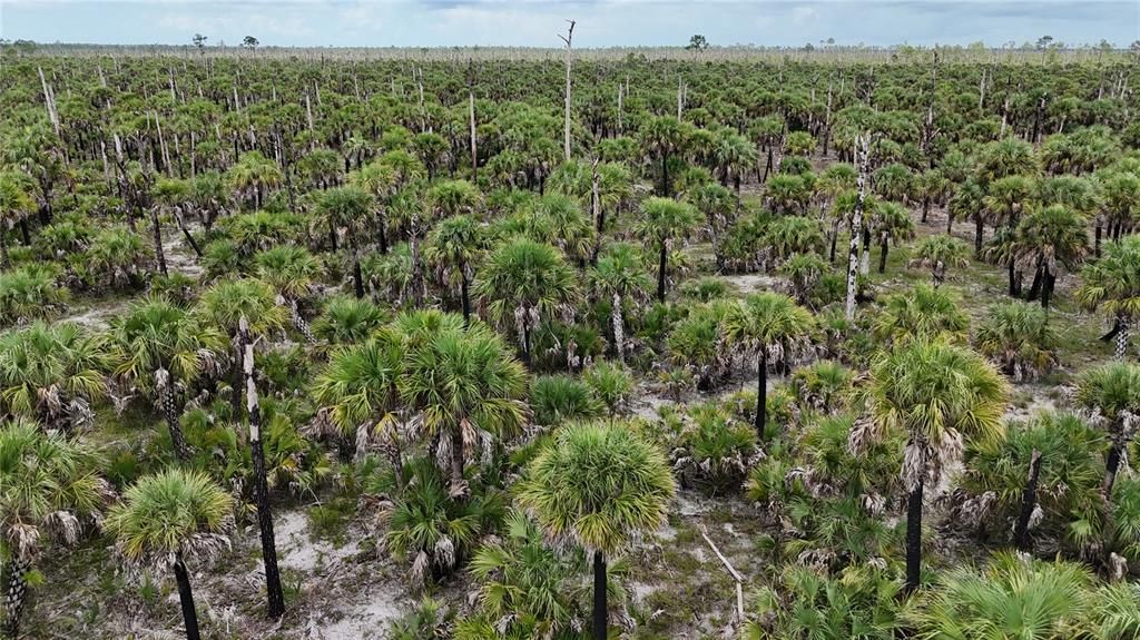 待售: $90,000 (5.00 acres)