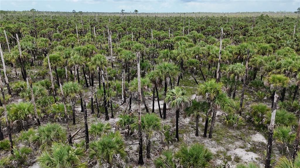 待售: $90,000 (5.00 acres)