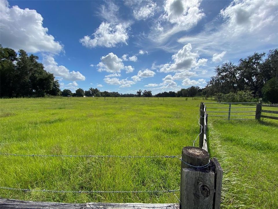 For Sale: $450,000 (14.00 acres)