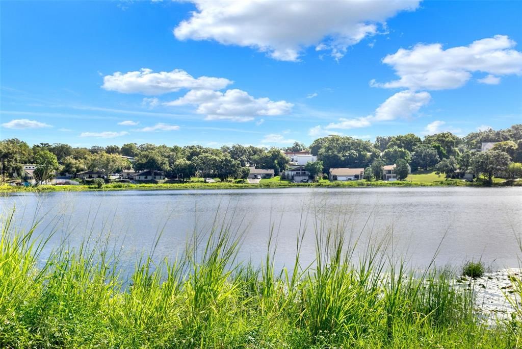 En Renta: $1,595 (2 camas, 1 baños, 800 Pies cuadrados)