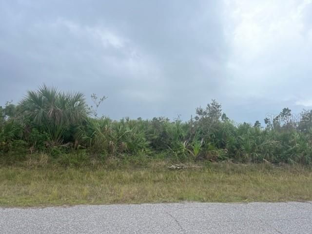 合同活跃: $18,000 (0.23 acres)