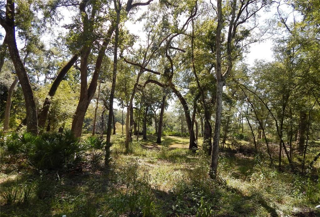 Active With Contract: $119,900 (3.15 acres)